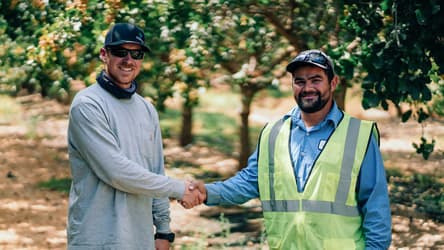 Solar for Unicorn Road Orchard