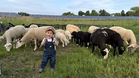 Community Solar for the Empire State