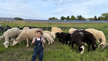 Community Solar for the Empire State