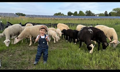 Community Solar for the Empire State